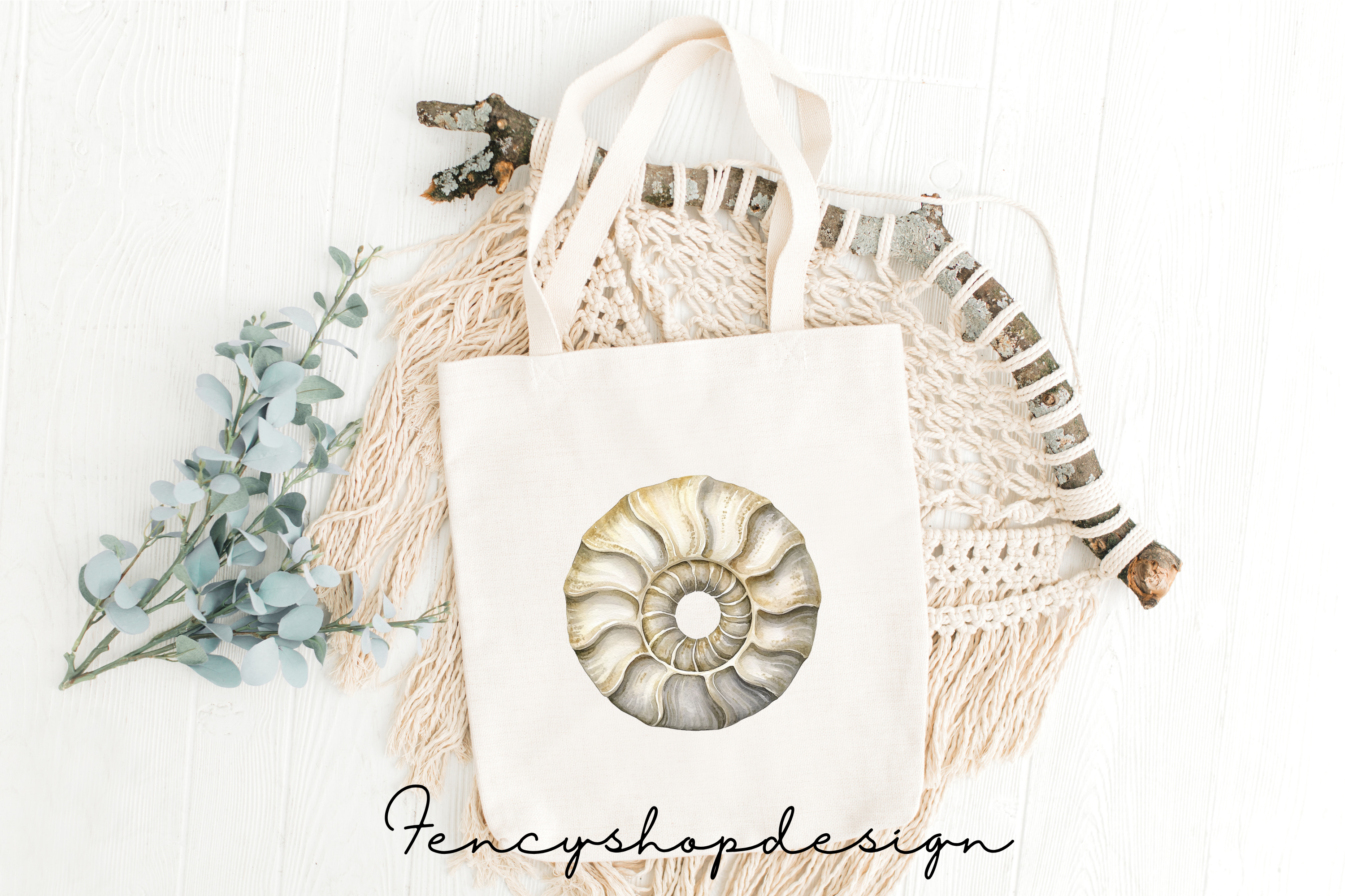 Ancient Ammonite Fossil Clipart Bundle