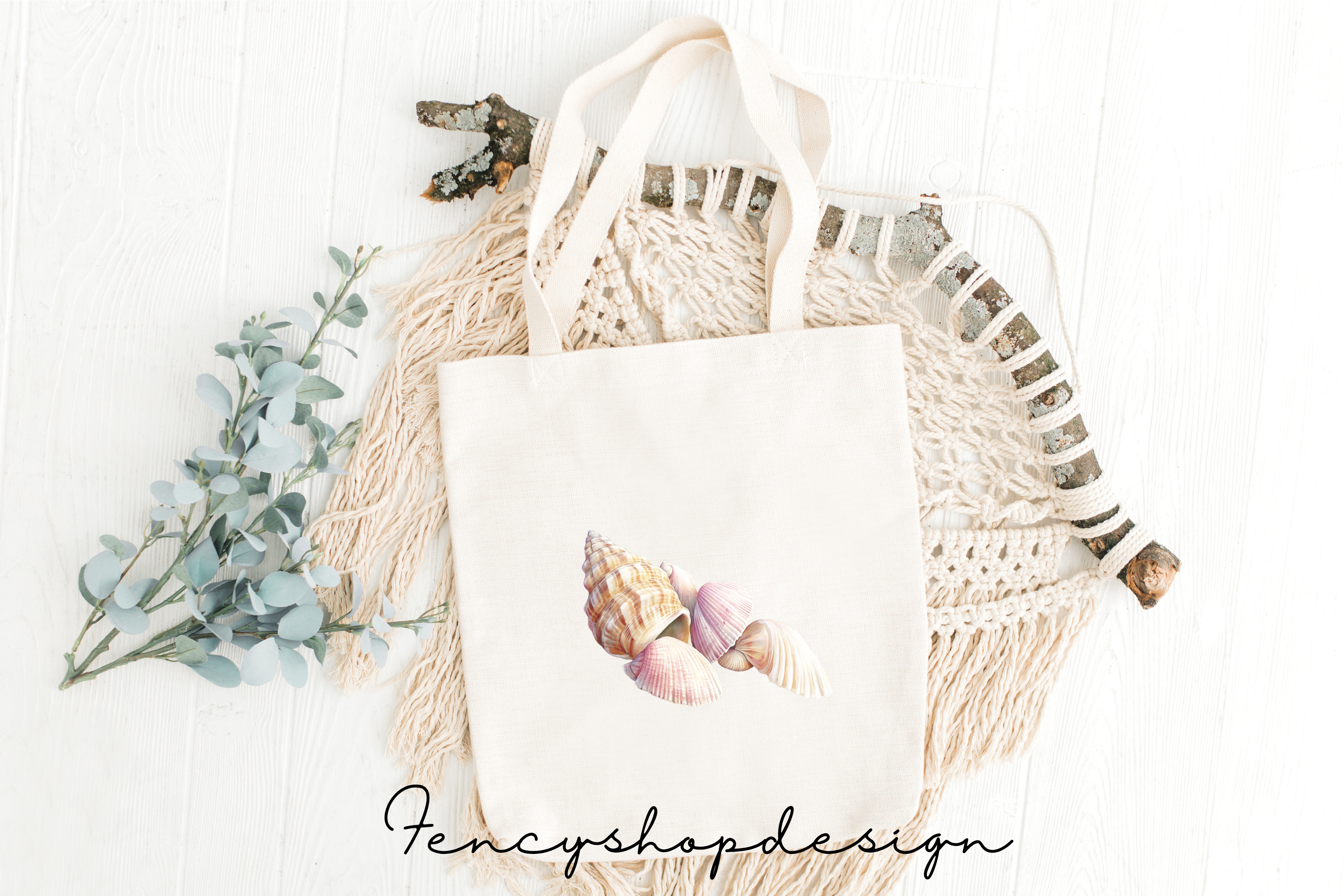 Seashell Clipart Bundle