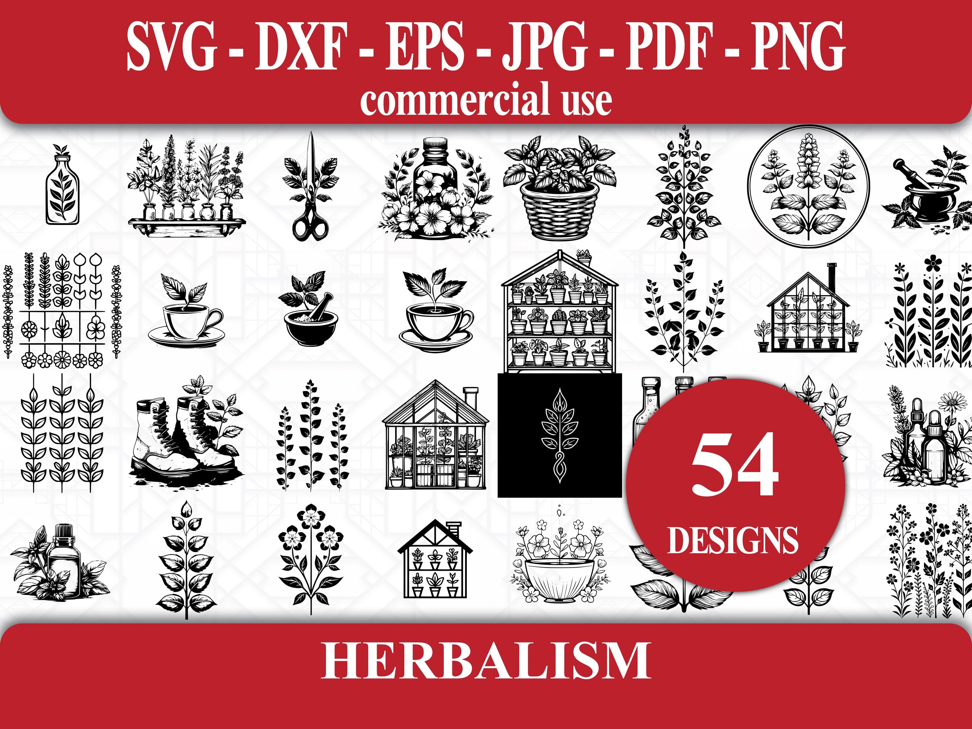 Herbalism SVG Bundle