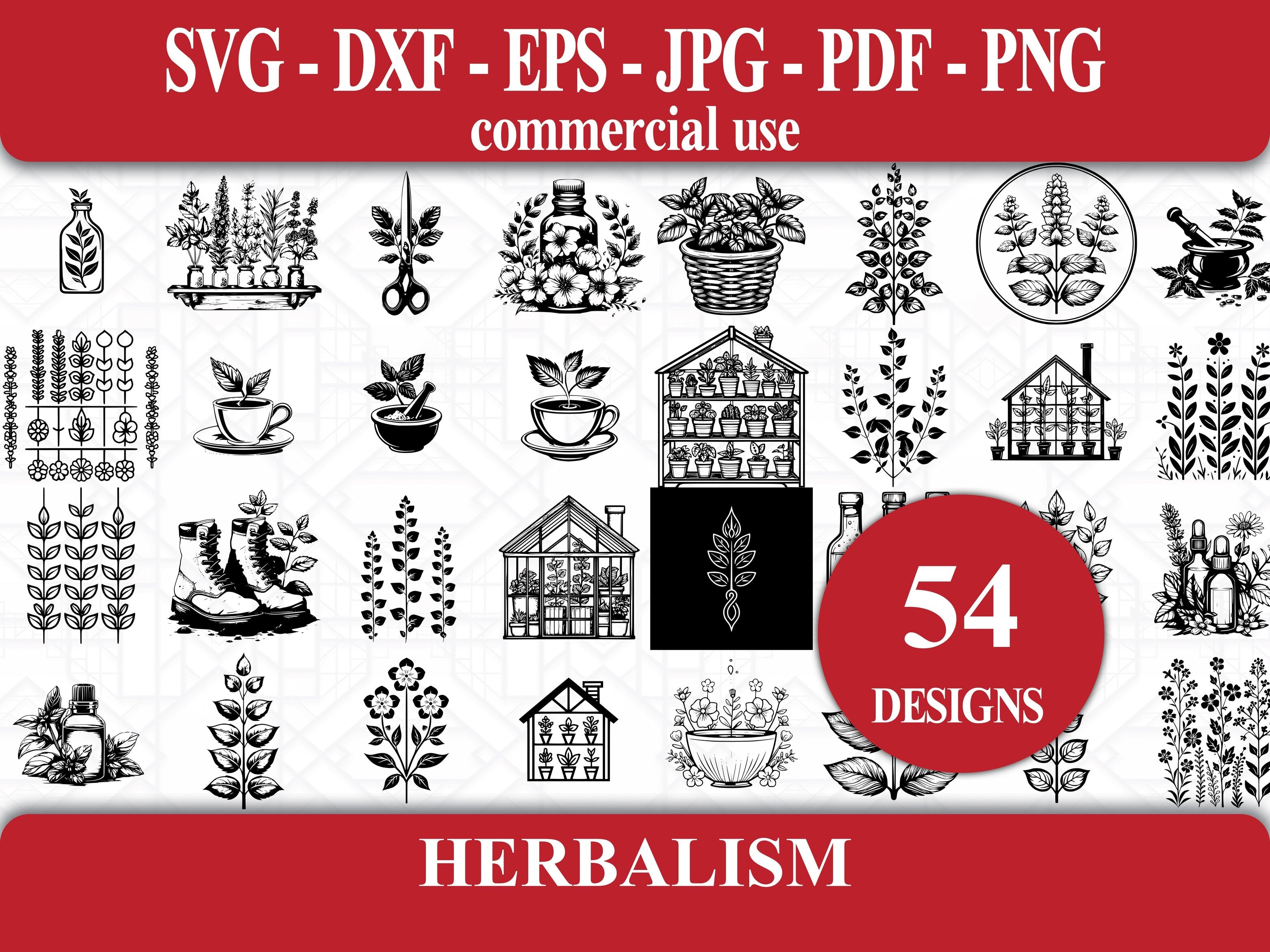 Herbalism SVG Bundle - CraftNest - Digital Crafting and Art