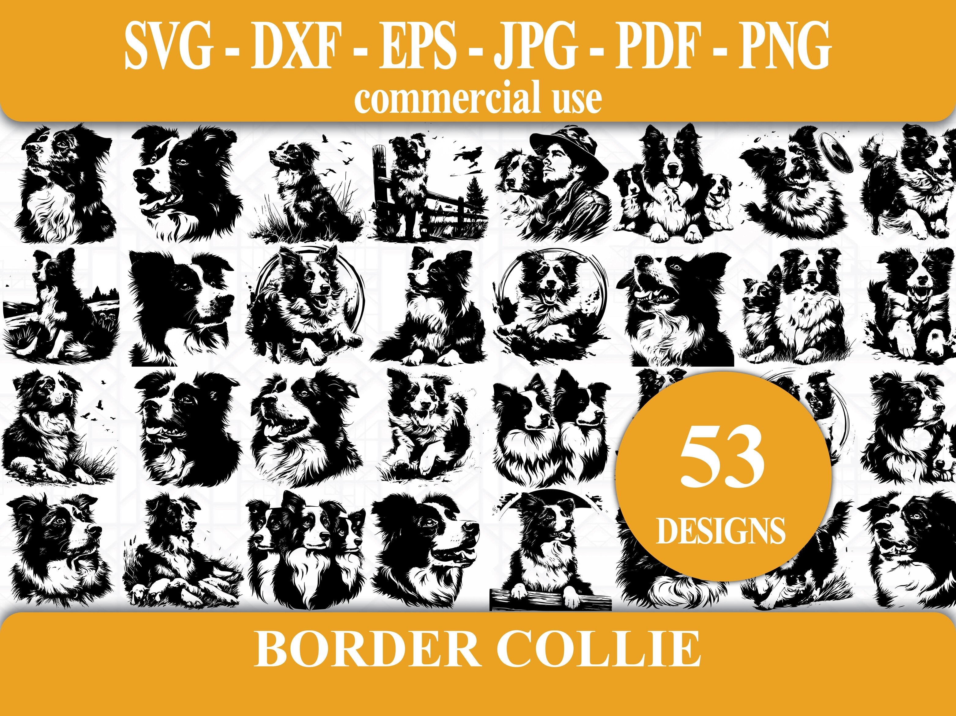 Border Collie SVG Bundle - CraftNest - Digital Crafting and Art